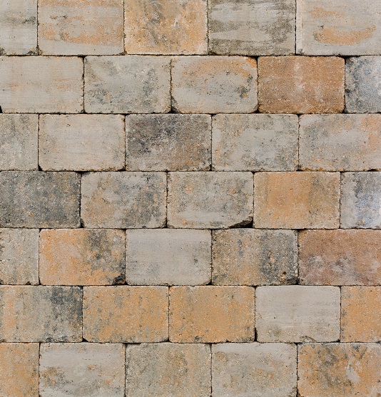 Trommelsteen musselkalk