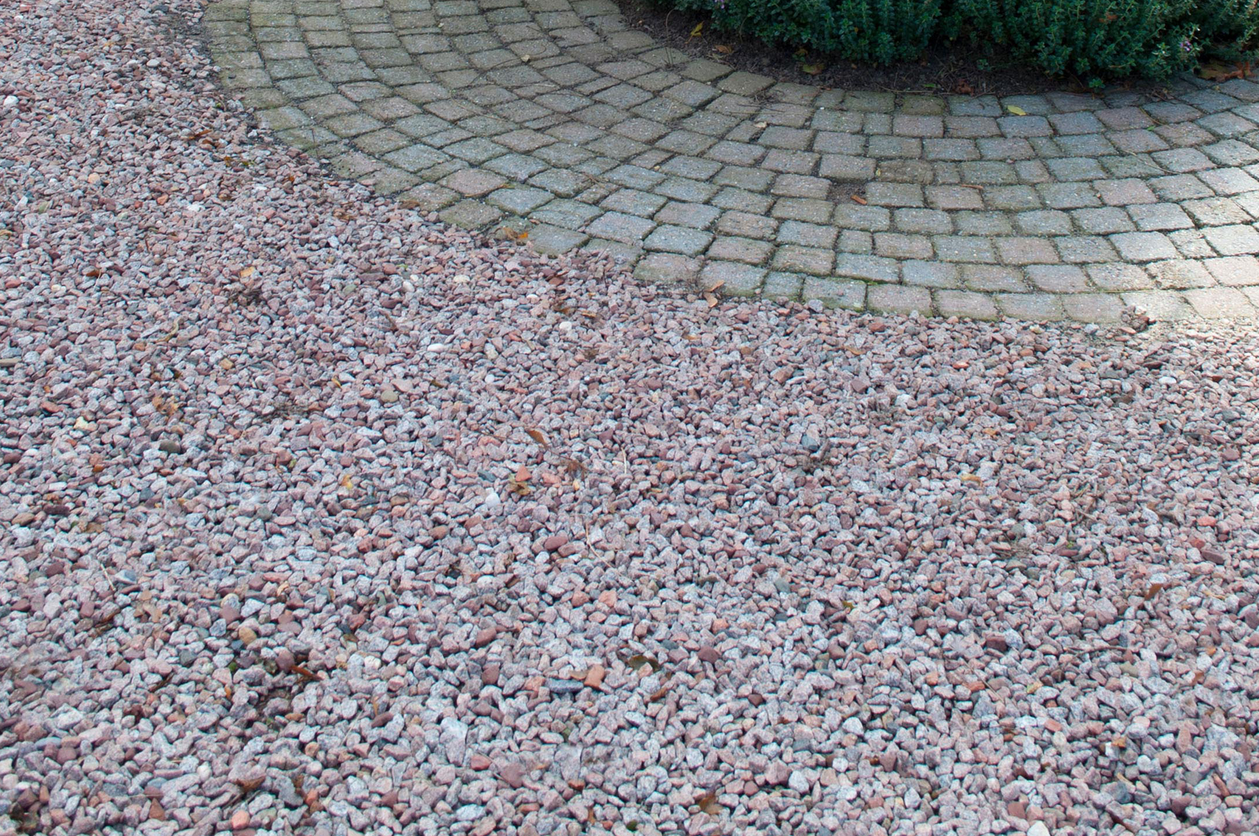 Showtuin van der Schee