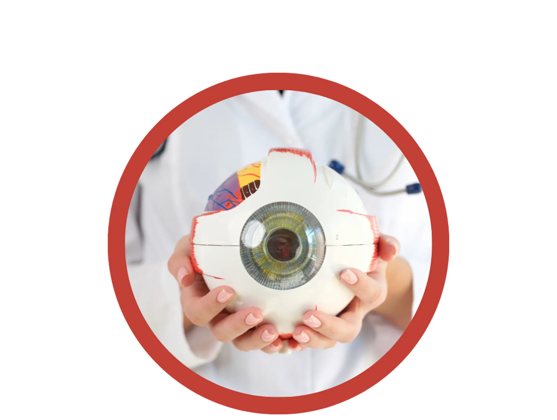 Take the First Step Toward Clearer Vision