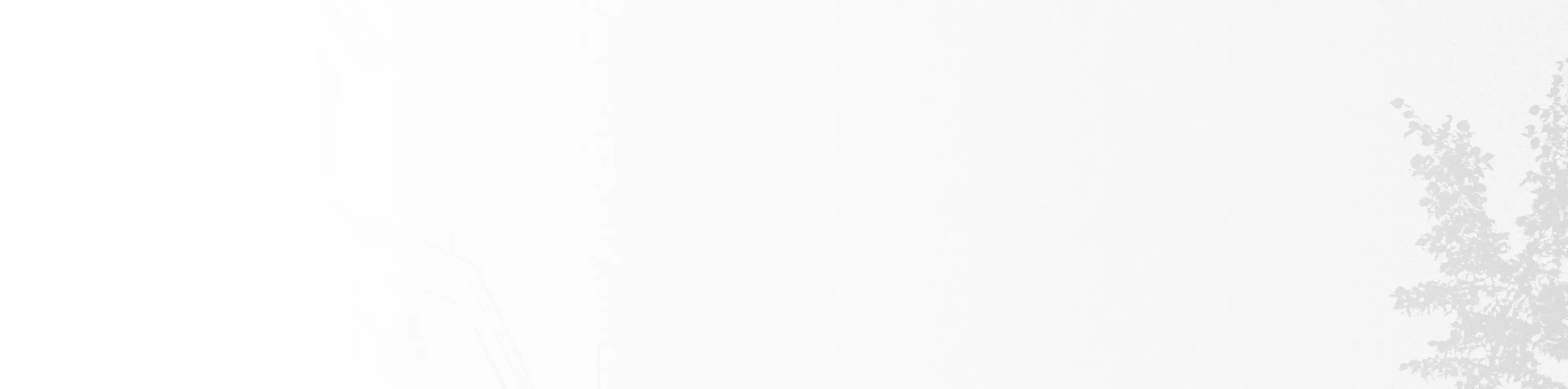 Light White Background