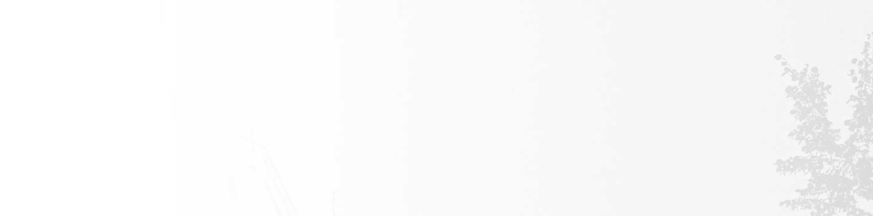 Light White Background