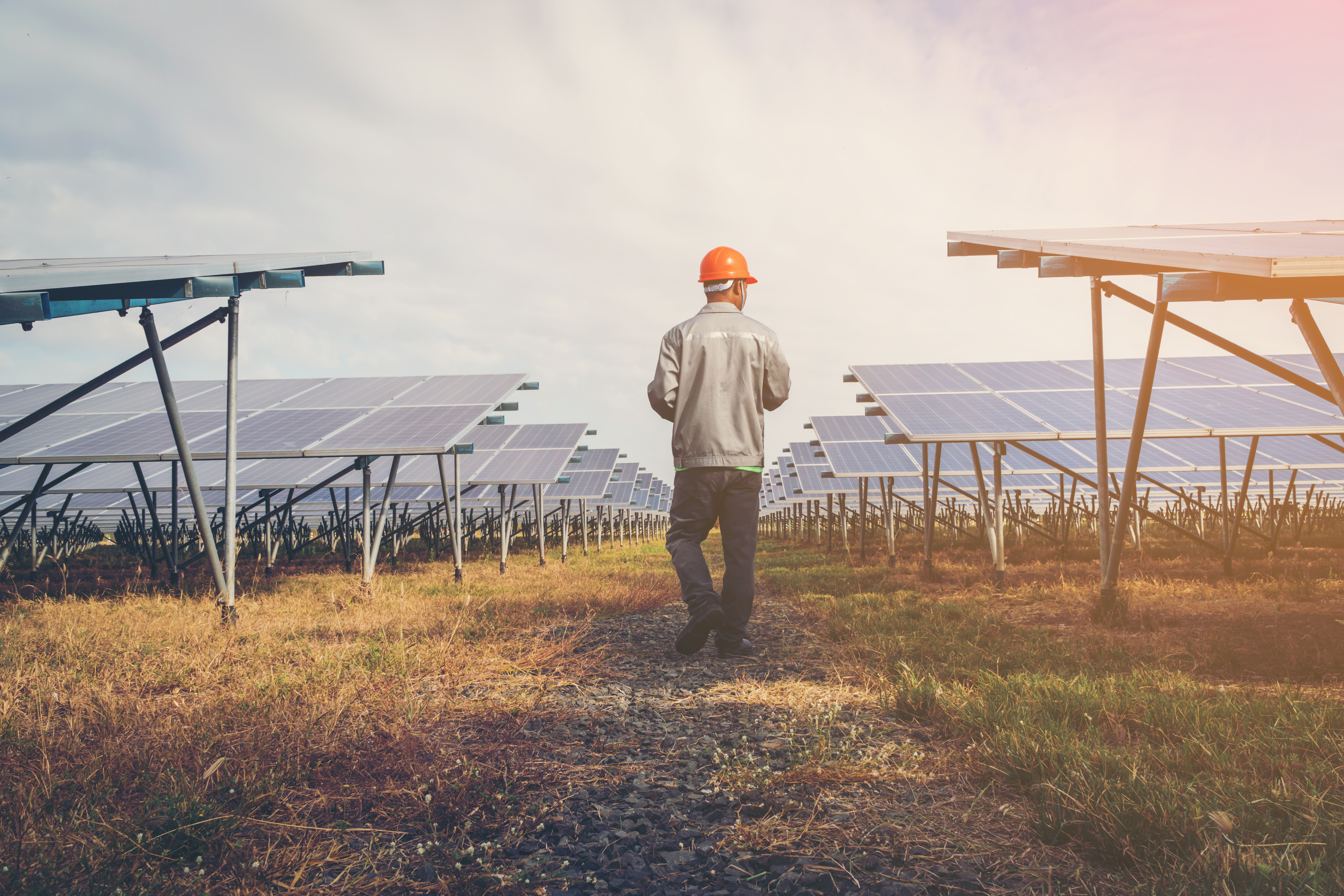 Homme avec un casque de chantier qui marche dans une allée de panneaux dans une ferme solaire