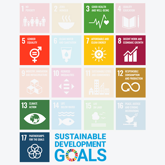 Diagrama de los objetivos de desarrollo sostenible de la ONU, con los 7 objetivos en los que se centra el Grupo en color