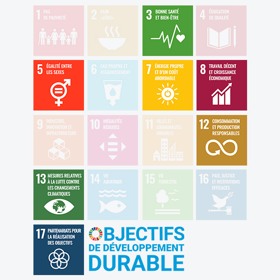 Schéma des objectifs de développement durable par l'ONU avec en couleurs les 7 objectifs sur lesquels le Groupe se concentre 