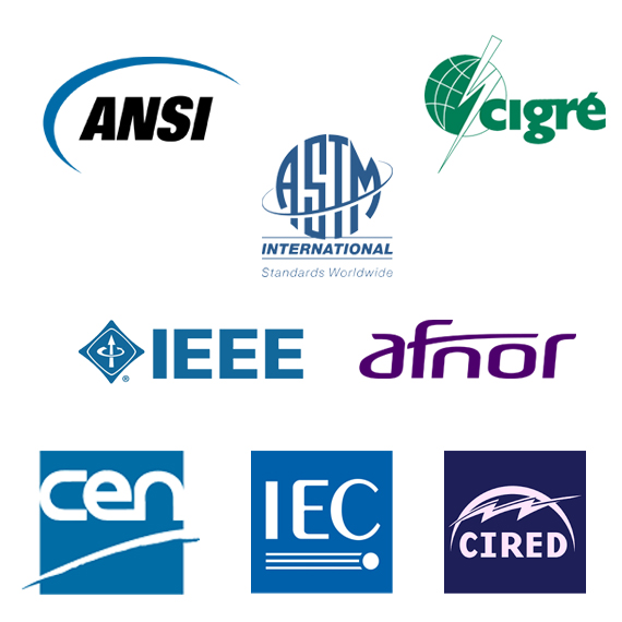 Logos of standards bodies of which the Group is a member: IEC, IEEE, ASTM, ANSI, AFNOR, CEN, CIRED, CIGRÉ