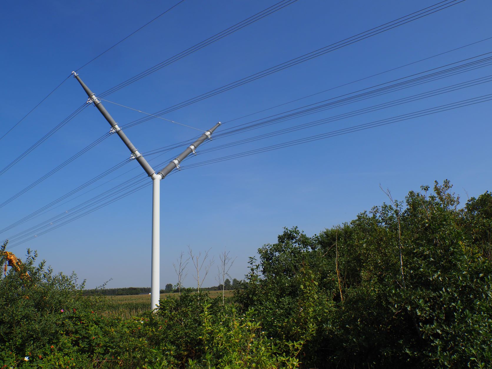 New-generation distribution tower