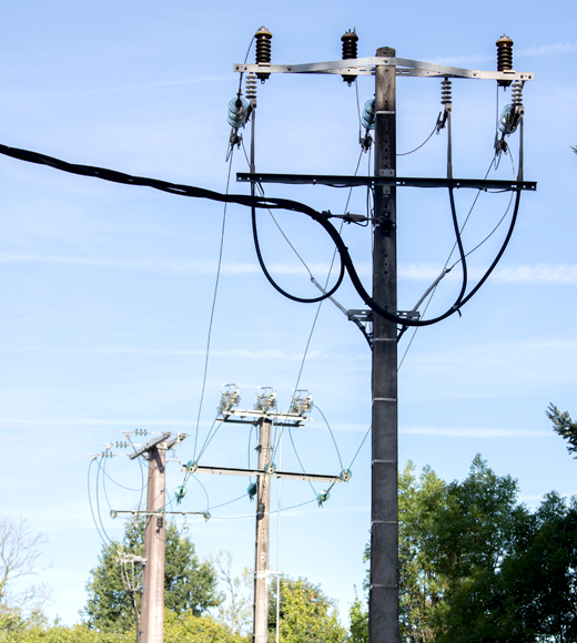 Distribution tower in front of trees