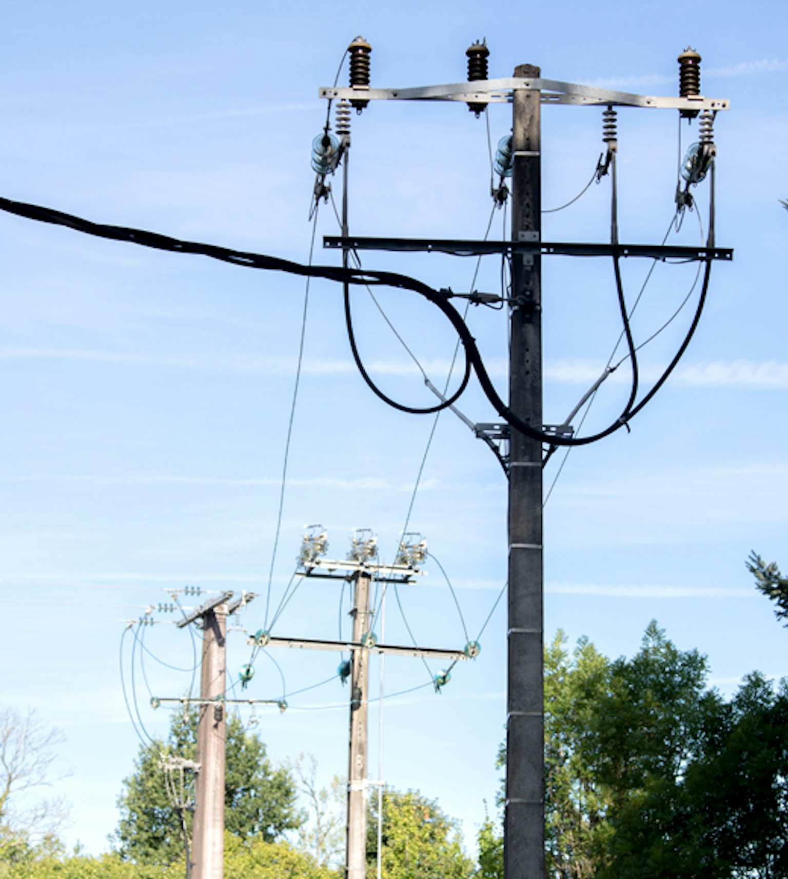 Pylône de distribution devant des arbres