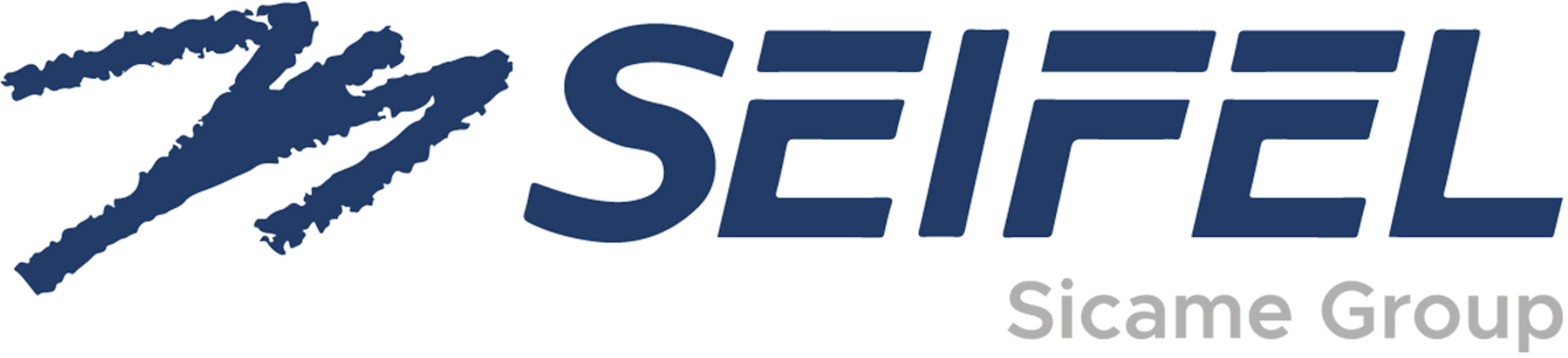 Logo de Seifel