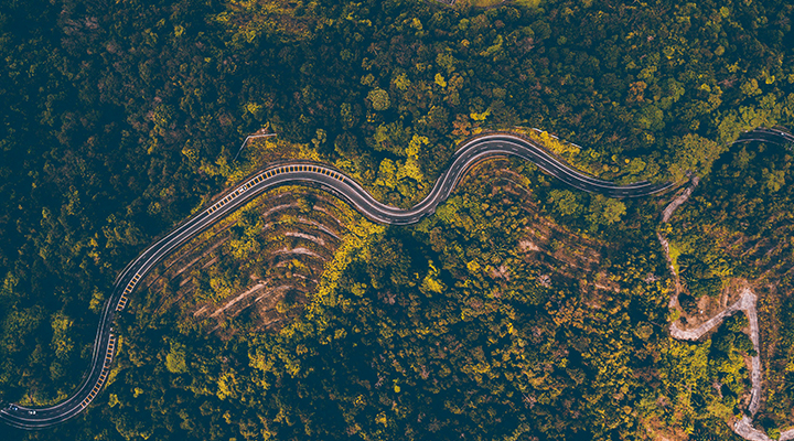 Aerial view of a forest and winding road