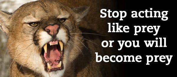 Messianic Vision - January 2019 Newsletter