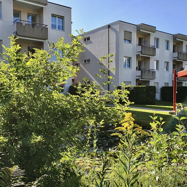 Biotop der Siedlung Sagematt