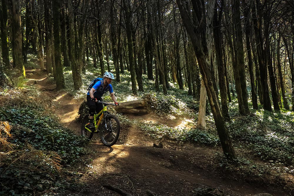 Best mtb hot sale trails