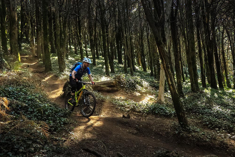 Sintra MTB trails are ideal for summertime riding in Portugal.
