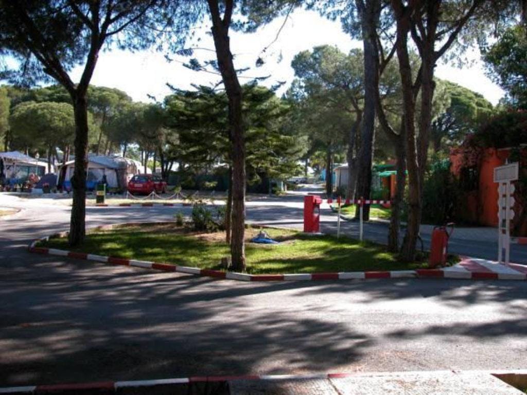 Camping La Buganvilla near Marbella.