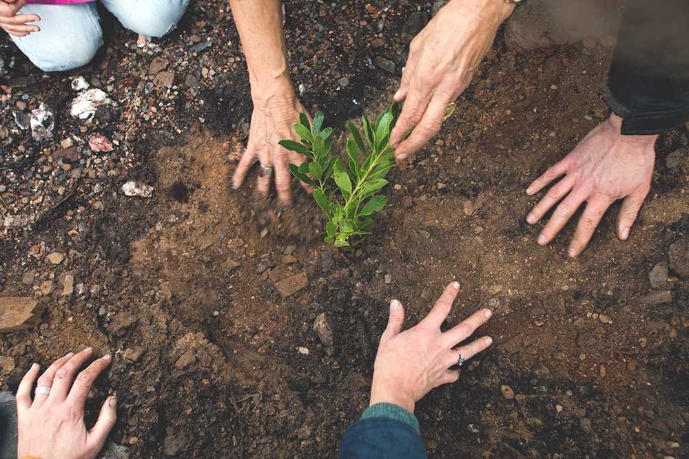 Seja voluntário enquanto viaja de forma sustentável.