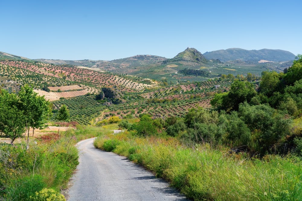 Les lignes de chemin de fer reconverties du sud de l'Espagne, ou Vias Verdes, sont exemptes de circulation et offrent une expérience cycliste sûre et agréable pour les familles et les cyclistes de tous âges.