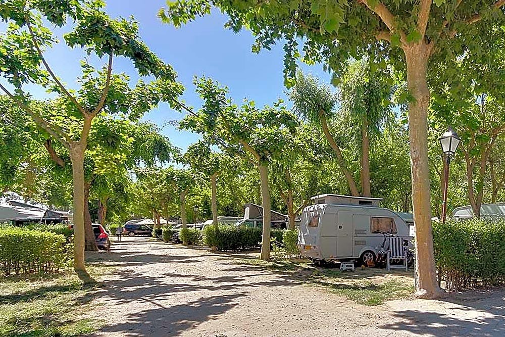 Camping Don Quijote - explora Salamanca y el interior