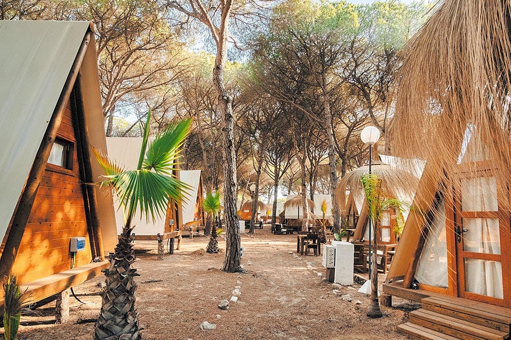 Camping Conil campsite in Spain - forest glamping near Cadiz