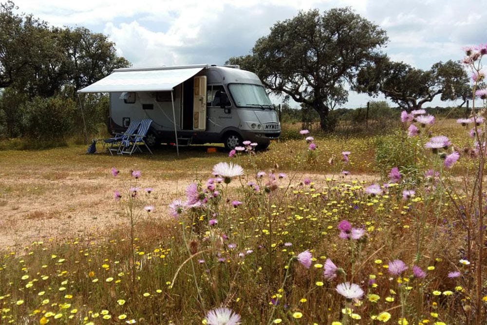 Bubulcus & Bolotas Campingplatz