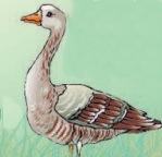 Goldbachsee Logo