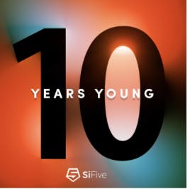 ten year logo