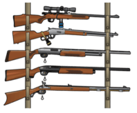 Long Guns on rack