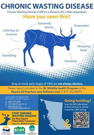 Chronic Wasting Disease Graphic
