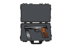 Handgun storage case