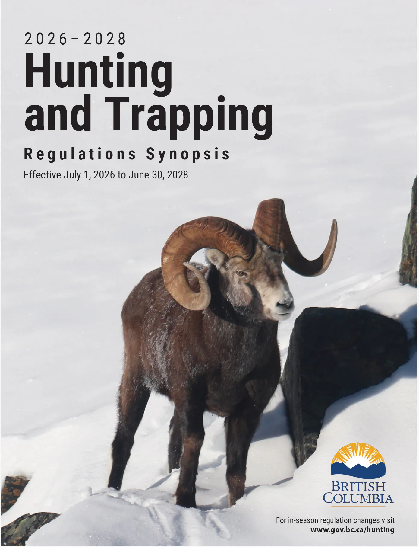 2026 - 2028 BC Hunting Synopsis