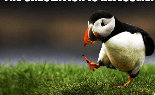 Picture of dodo bird with text: this simulation is awesom, except I have no clue what I'm doing