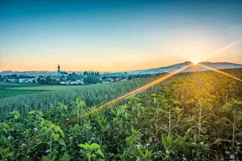 The image shows a wide, green landscape with fields and trees bathed in warm sunlight. The sun is low in the sky, creating a calm and natural atmosphere – ideal for rural living and a high quality of life.