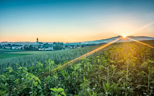 Das Bild zeigt eine weite, grüne Landschaft mit Feldern und Bäumen, über die warmes Sonnenlicht fällt. Die Sonne steht tief und taucht die Umgebung in eine ruhige, natürliche Atmosphäre – ideal für ländliches Wohnen und hohe Lebensqualität.