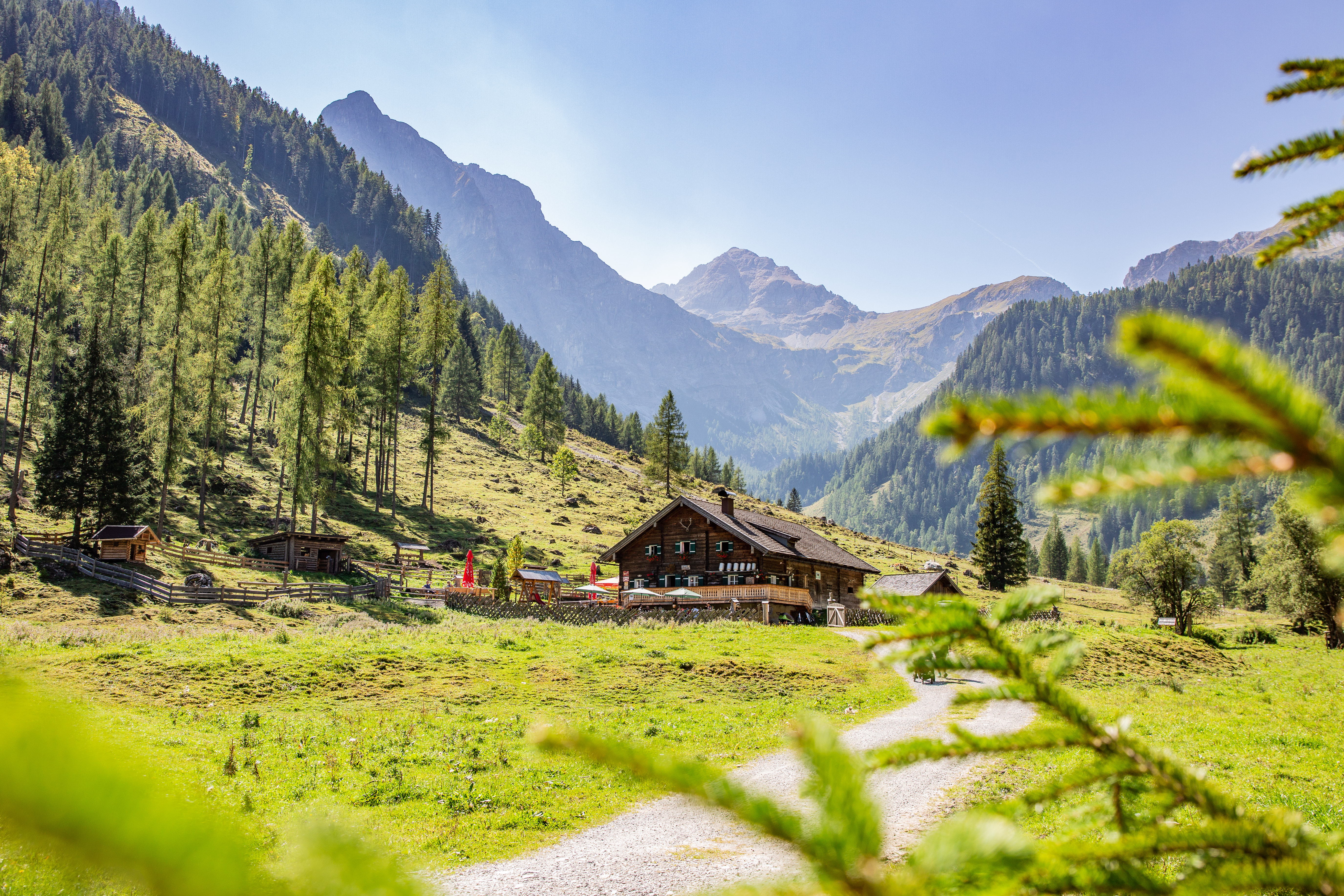 Das Bild zeigt eine idyllische Alpenlandschaft mit saftig grünen Wiesen, umgeben von bewaldeten Bergen. In der Mitte steht eine kleine Hütte, die Ruhe und Naturverbundenheit ausstrahlt – ein perfekter Rückzugsort inmitten unberührter Natur.