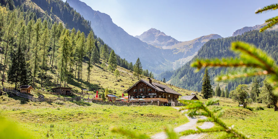 Das Bild zeigt eine idyllische Alpenlandschaft mit saftig grünen Wiesen, umgeben von bewaldeten Bergen. In der Mitte steht eine kleine Hütte, die Ruhe und Naturverbundenheit ausstrahlt – ein perfekter Rückzugsort inmitten unberührter Natur.