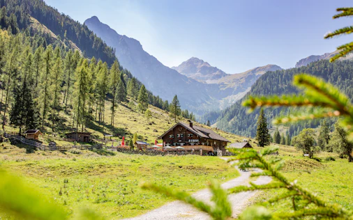 Das Bild zeigt eine idyllische Alpenlandschaft mit saftig grünen Wiesen, umgeben von bewaldeten Bergen. In der Mitte steht eine kleine Hütte, die Ruhe und Naturverbundenheit ausstrahlt – ein perfekter Rückzugsort inmitten unberührter Natur.