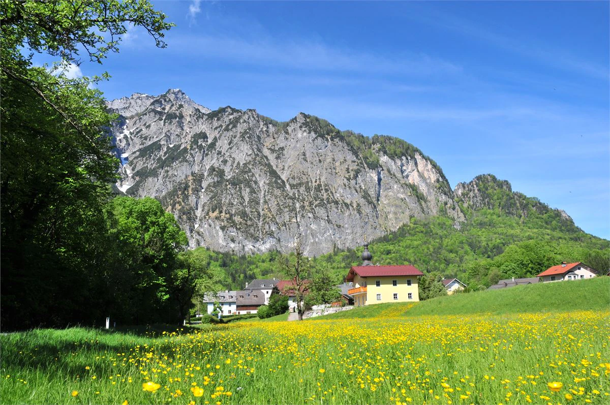 Das Bild zeigt eine sonnige Berglandschaft mit blühender Wiese im Vordergrund und einzelnen Häusern am Fuße eines markanten Felsmassivs. Die Kombination aus Natur, Ruhe und alpiner Kulisse vermittelt hohe Lebensqualität und Erholung.