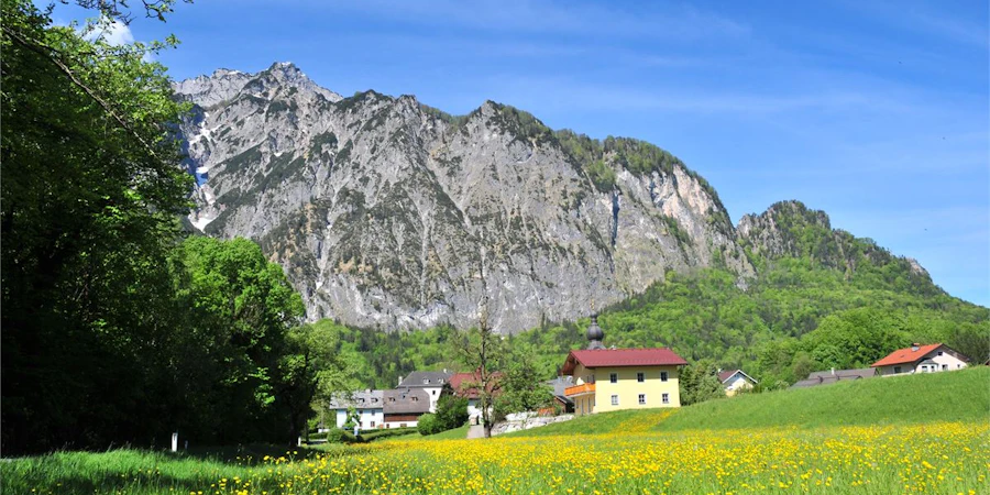 Das Bild zeigt eine sonnige Berglandschaft mit blühender Wiese im Vordergrund und einzelnen Häusern am Fuße eines markanten Felsmassivs. Die Kombination aus Natur, Ruhe und alpiner Kulisse vermittelt hohe Lebensqualität und Erholung.
