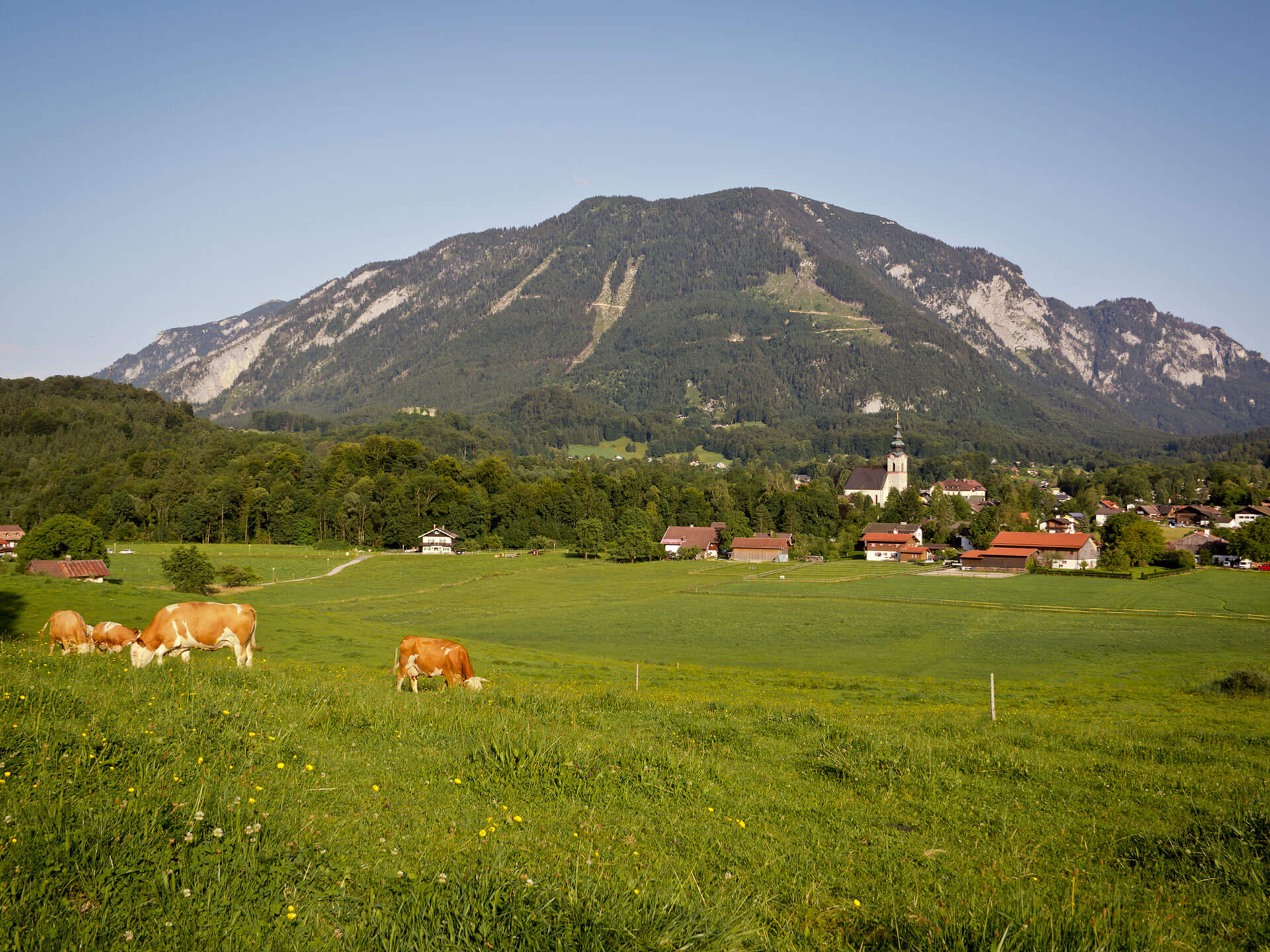 Idyllic landscape in Großgmain with green meadows, scattered farmhouses, and an impressive mountain backdrop – peaceful, close to nature, and offering a high quality of life.