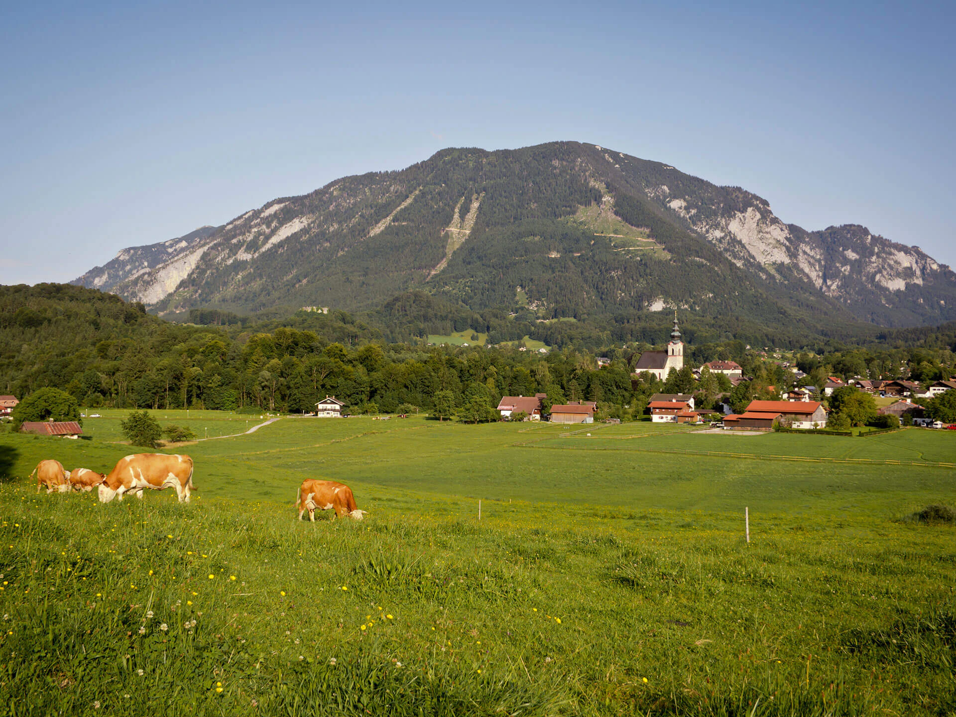 Idyllic landscape in Großgmain with green meadows, scattered farmhouses, and an impressive mountain backdrop – peaceful, close to nature, and offering a high quality of life.