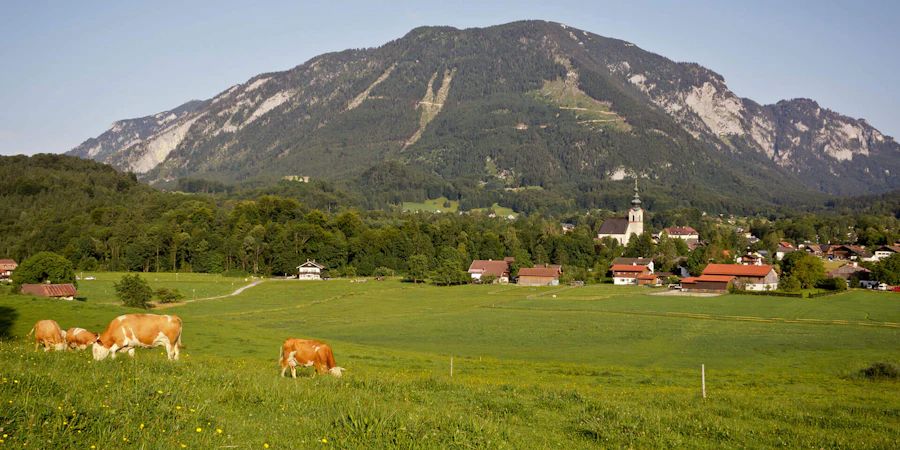 Idyllic landscape in Großgmain with green meadows, scattered farmhouses, and an impressive mountain backdrop – peaceful, close to nature, and offering a high quality of life.