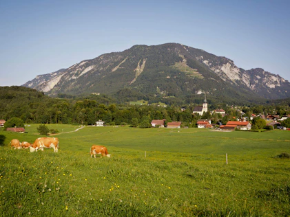 Idyllic landscape in Großgmain with green meadows, scattered farmhouses, and an impressive mountain backdrop – peaceful, close to nature, and offering a high quality of life.