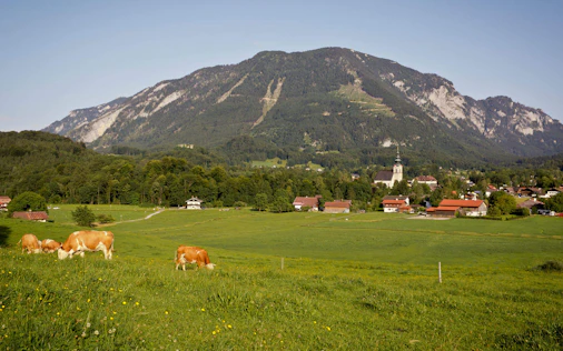 Idyllische Landschaft in Großgmain mit grünen Wiesen, vereinzelten Bauernhäusern und beeindruckender Bergkulisse – ruhig, naturnah und mit hoher Lebensqualität.
