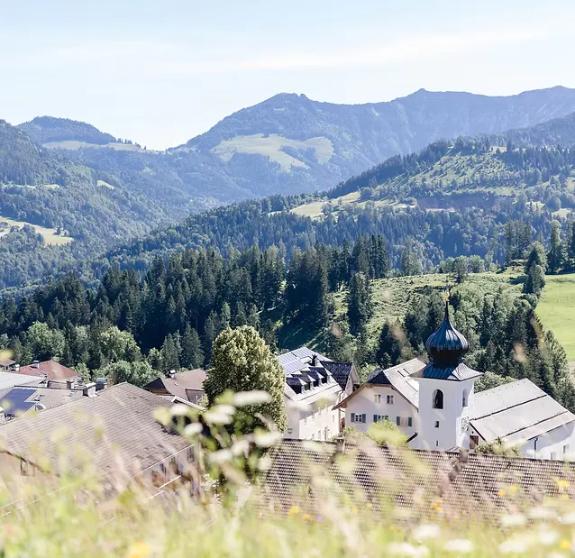 A peaceful view of a green, rolling hillside landscape with scattered houses, nestled in nature. In the background, gentle mountains rise, giving the scene a relaxed, alpine atmosphere.