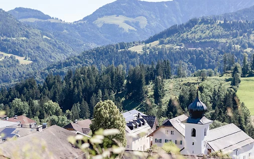 Ein ruhiger Ausblick auf eine grüne Hügellandschaft mit vereinzelten Häusern, eingebettet in die Natur. Im Hintergrund erheben sich sanfte Berge, die dem Bild eine entspannte, alpine Atmosphäre verleihen.