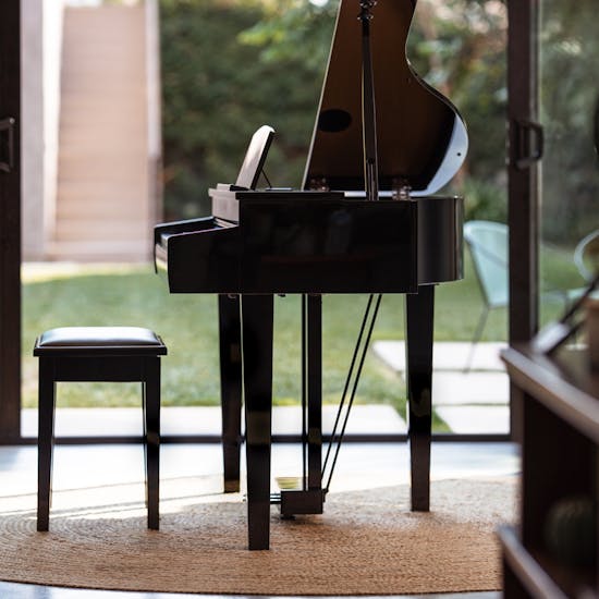 Image d'illustration de piano vendu par bietry