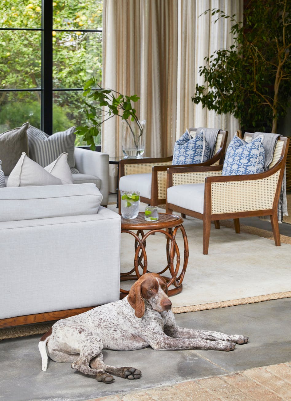 Modern, grey bar stools placed next to dining chairs, a dining table and a wooden console table with decorative accents in the background.