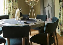 A cat with handsome black-and-white markings sits in the middle of a power table surrounded by chairs. A mirror stands in the corner of the room beside an artwork showing an outline of a person wearing red high heels.