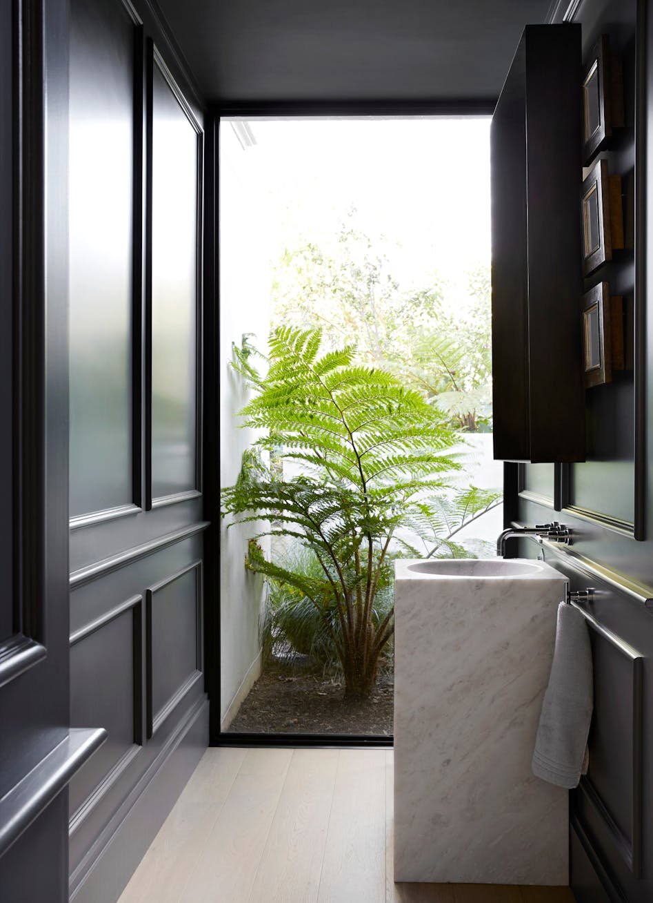 A modern bathroom with black walls, a basin in the foreground and a large window in the background with a view of a large plant outside.