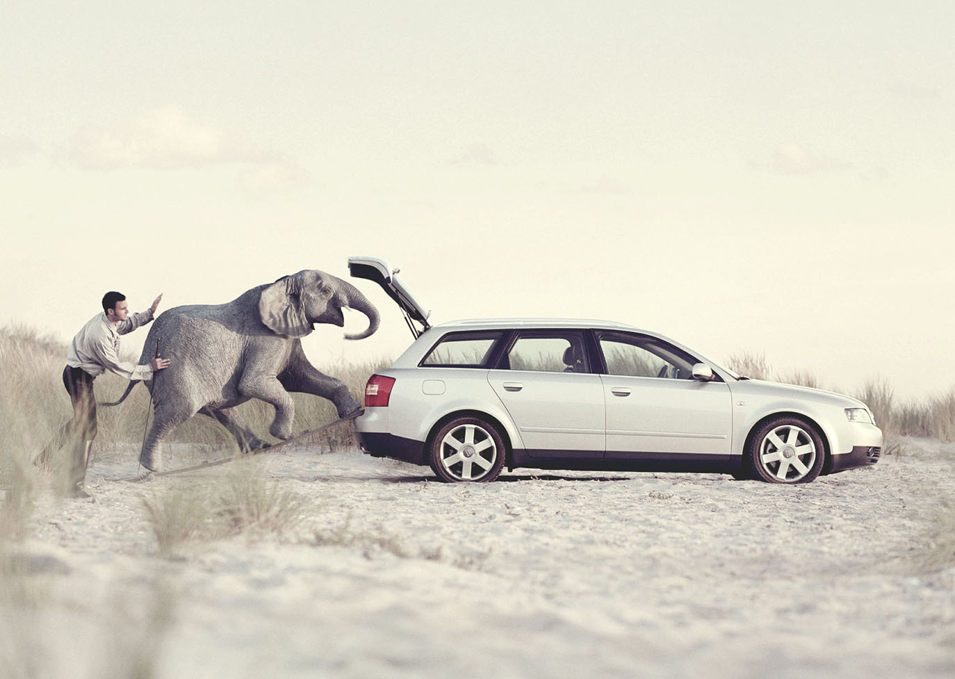 Thumbnail of Elephant DDB Audi